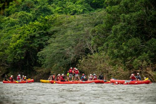 Picocanoa Rodavento