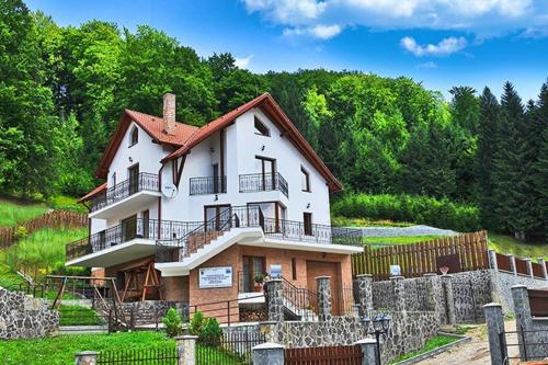 Charming Villa in a Private Mountain Resort - Accommodation - Timisul de Jos