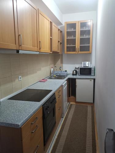 Apartman Banja - Tuzla