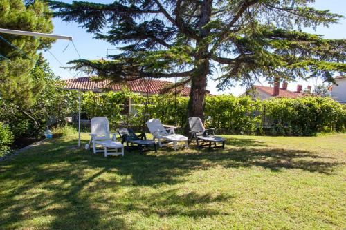 Hostel Trobenta in Oblak 5