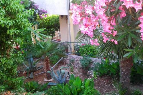 Apartments with WiFi Trpanj Peljesac - 13664 Trpanj