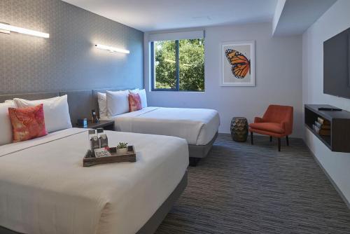 2 queen beds