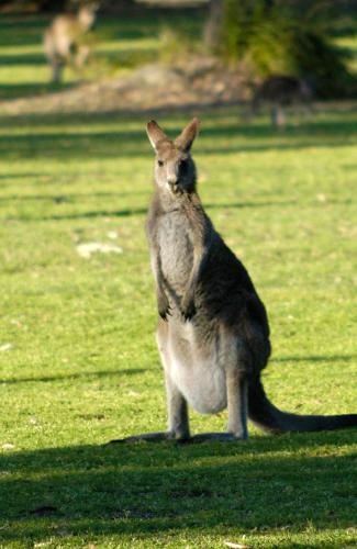 Bewong River Retreat in Bewong