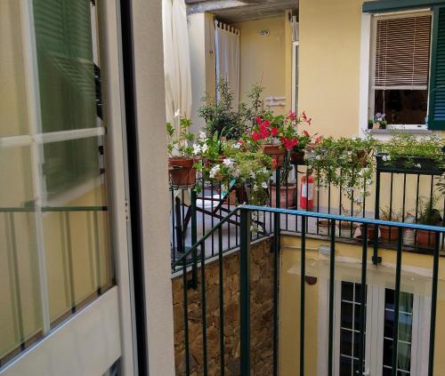 AWroom, Riomaggiore (fotografie 8)