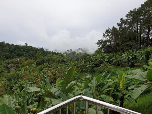 DOI TUNG Anisa Homestay in Mae Fa Luang