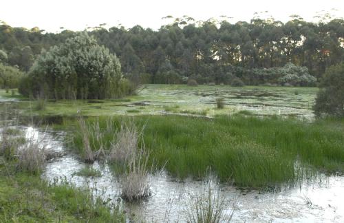 Bewong River Retreat