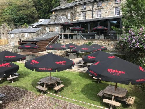 Grapes Hotel, Bar & Restaurant Snowdonia Nr Zip World