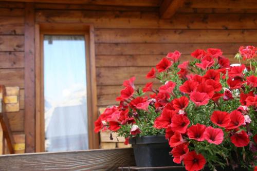 Le Queyrellin hameau des Chazals Nevache Hautes Alpes