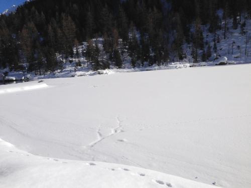 Appartamento Casa Weisstor con patio, giardino e orti vista Monte Rosa