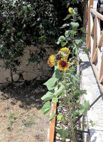 Stratos Hotel - image 12