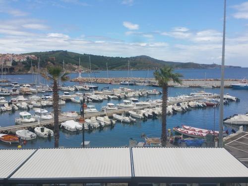 Résidence La Grande Voile - Location saisonnière - Banyuls-sur-Mer