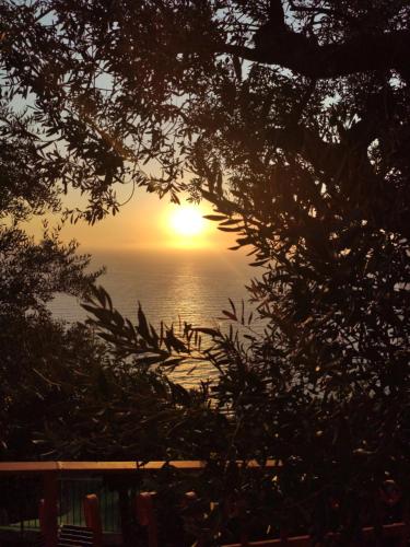 Ambrosio home Ambrosio home