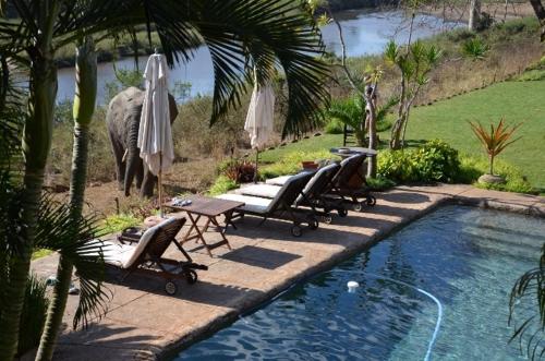 Khandizwe Kruger Villa photo