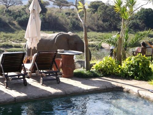 Khandizwe Kruger Villa photo