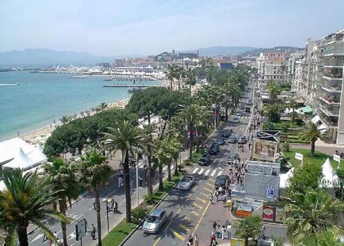 LES ALGUES T2