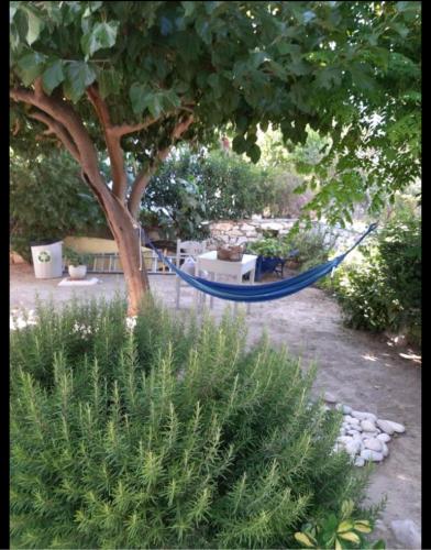  Sundeck in Paros
