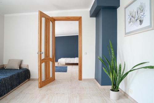 Papes-house - image 12