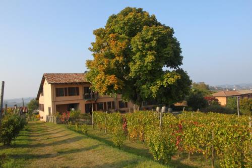 Agriturismo Cascina del Rosone