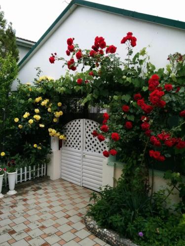 Guest house Vremena Goda 2 - main image