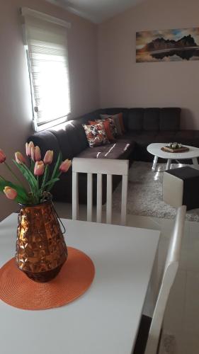 Apartmani Stijepovic - image 8