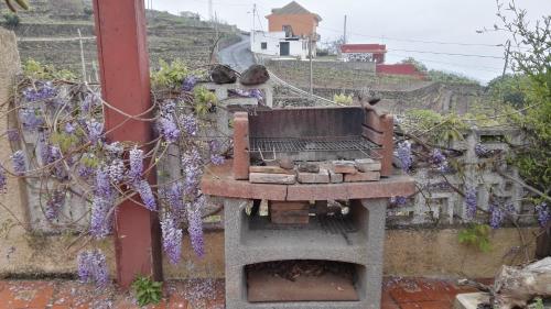 Casa Canarina 3