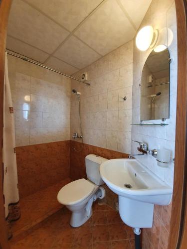 Balaton Hotel - image 11