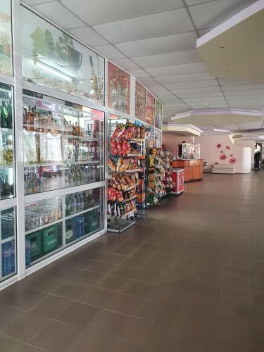 Balaton Hotel - image 10