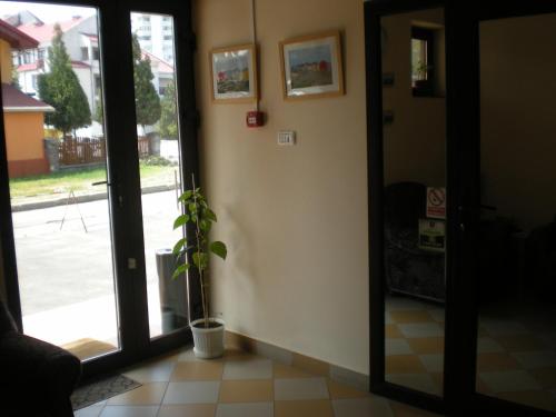 Vila Montana - image 11