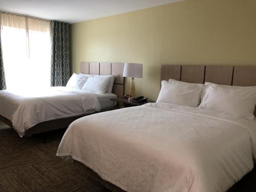 2 queen beds