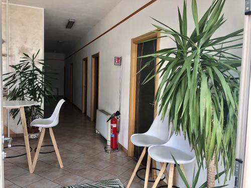  La Siesta Bed&Residence in Cardano al Campo