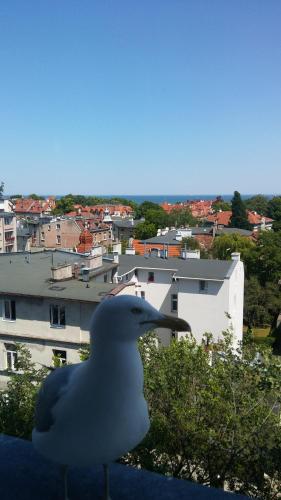 Sopot apartament z widokiem na Morze, Sopot