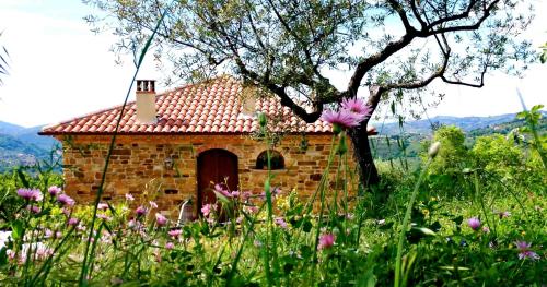 Exterior view of Villa Nigro