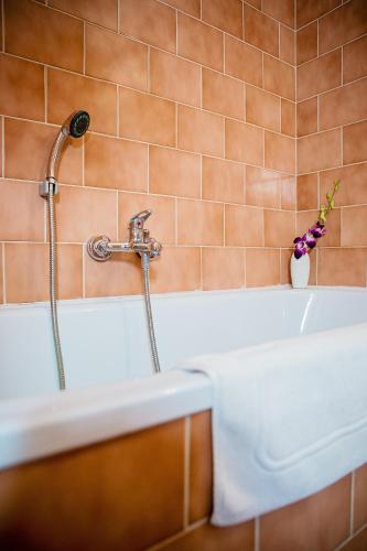 Bona Serva – Prague, NY