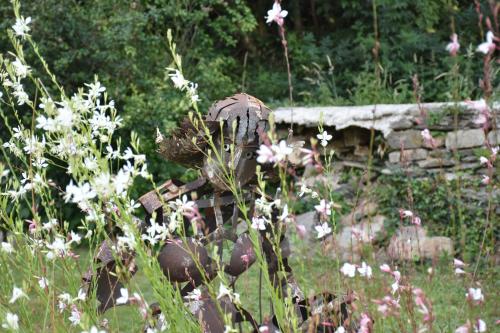 Domaine des Fougères 5