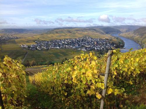 Ferienhaus Mosel/Trittenheim