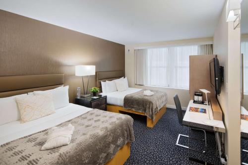 The Carvi Hotel New York Ascend Hotel Collection - image 7