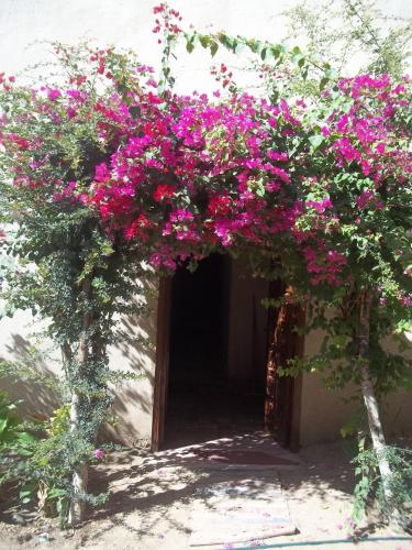 Nour El Gourna Hotel