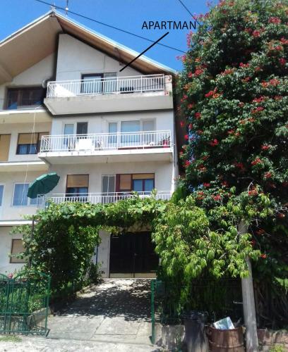 Apartman Trifunović Sokobanja