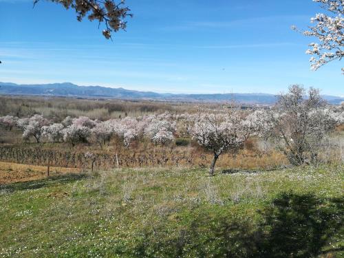 Las 3 Negrillas Las 3 Negrillas