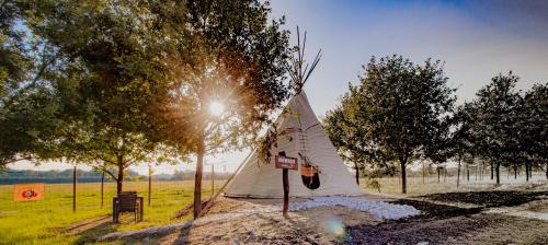. Residence Safari Resort - Teepee Village