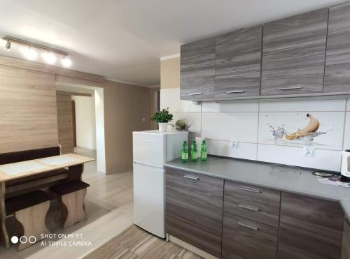 Apartament U Agnieszki - Apartment - Muszyna