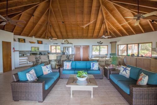 LOBLOLLY in Virgin Gorda