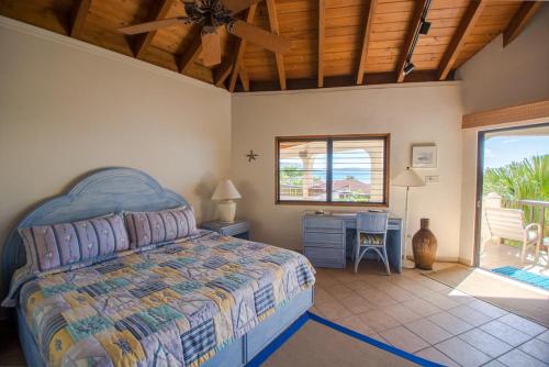 LOBLOLLY in Virgin Gorda