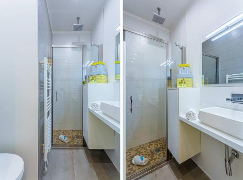 MY CASA - GAMBETTA 33