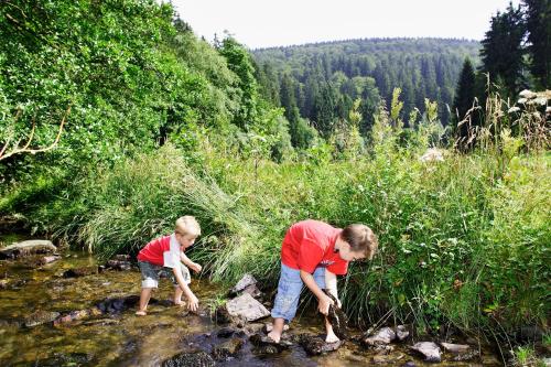 Sonnenhof-Willingen