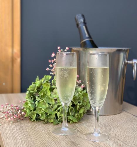 Airial du Seignanx - image 13