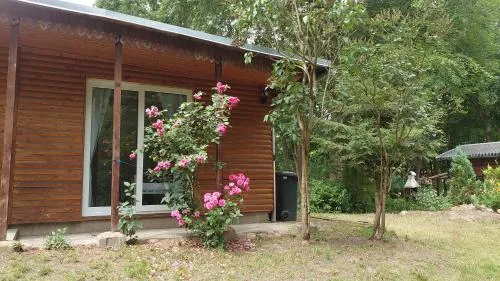 Waldhaus Halvor in Zichtau, Deutschland
