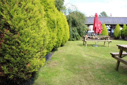 The Lord Byron Inn - image 12