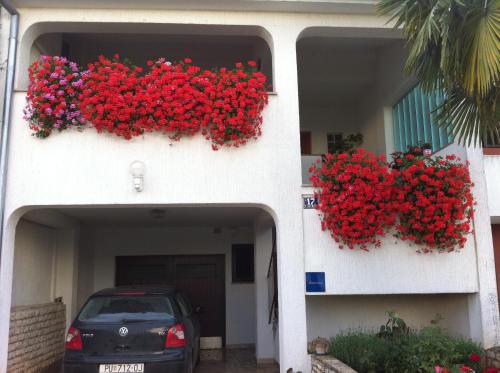 Apartman Ornela - image 2
