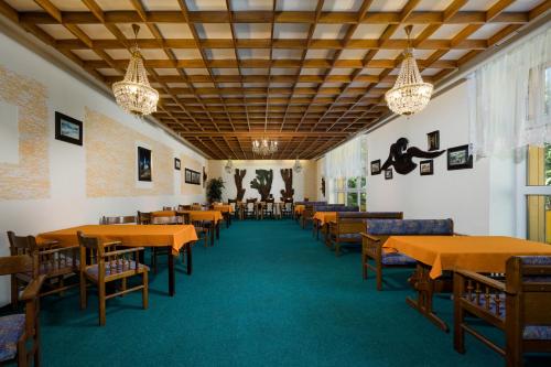 共用Lounge/電視區, Horsky Hotel Jelinek in 尼紹河畔雅布羅內次附近貝德日霍夫